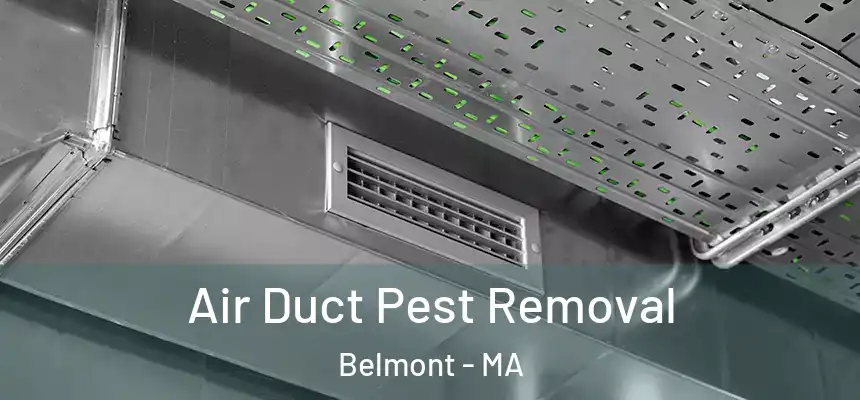 Air Duct Pest Removal Belmont - MA