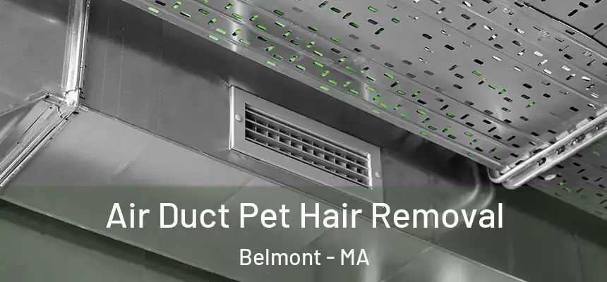 Air Duct Pet Hair Removal Belmont - MA