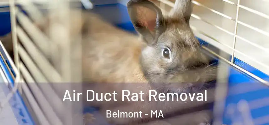 Air Duct Rat Removal Belmont - MA
