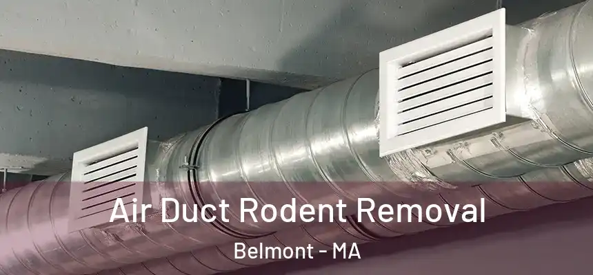 Air Duct Rodent Removal Belmont - MA