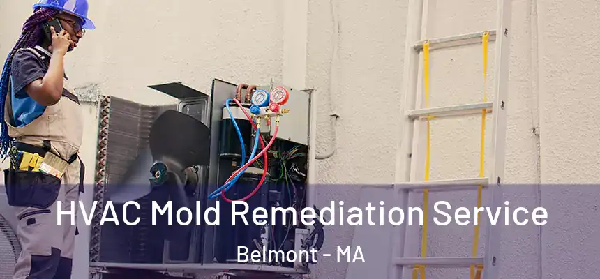  HVAC Mold Remediation Service Belmont - MA
