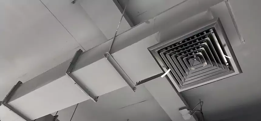 Our Rodent Droppings In Vents Services in Belmont, MA