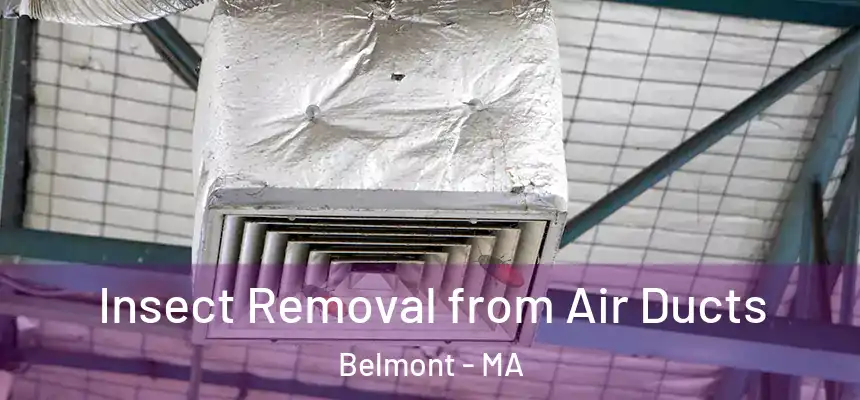Insect Removal from Air Ducts Belmont - MA