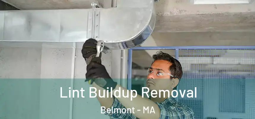Lint Buildup Removal Belmont - MA