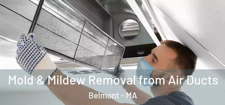 Mold & Mildew Removal from Air Ducts Belmont - MA