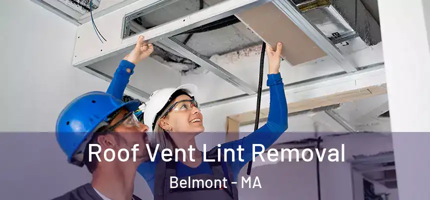  Roof Vent Lint Removal Belmont - MA