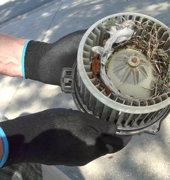 About Air Duct Rat Removal in Belmont, MA