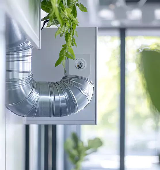 Professional Eco-Safe Dryer Vent Cleaning in Belmont, MA