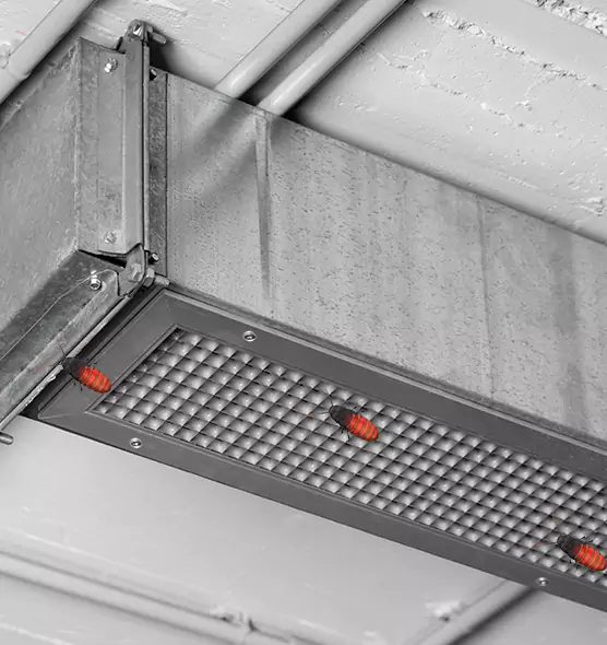 Affordable Insect Removal from Air Ducts in Belmont, MA